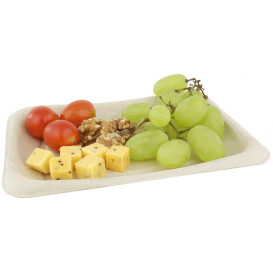 Pojemniki Trzciny Cukrowej 20x14cm (300 Sztuk)